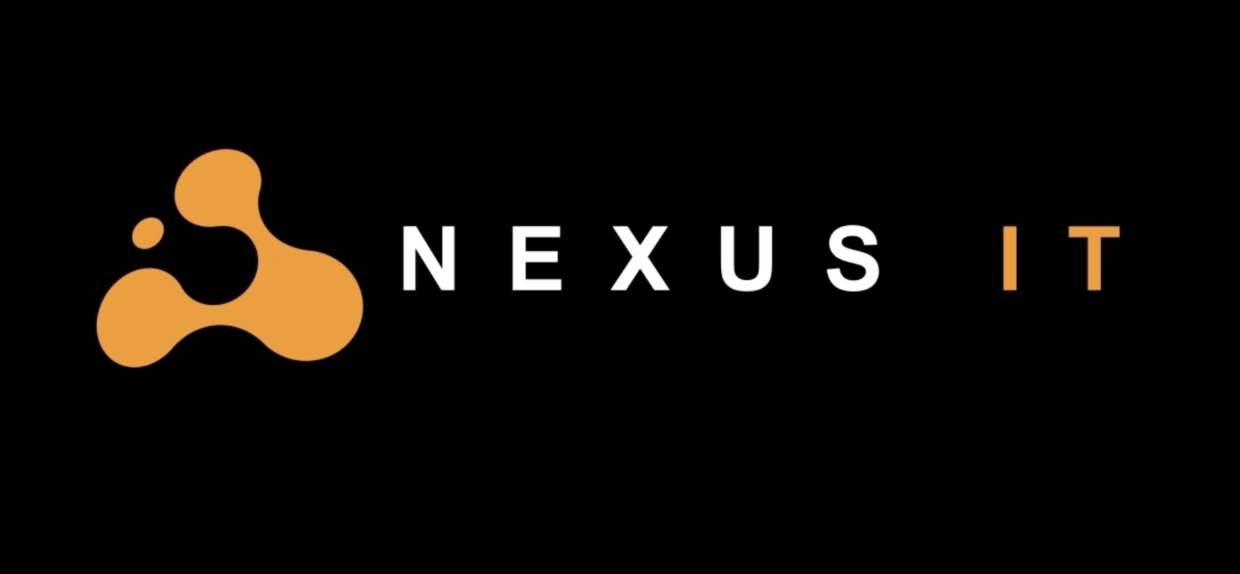Nexus IT: Cultivating a People-First Culture for Success